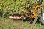 Between-Row & Weed- Mowers